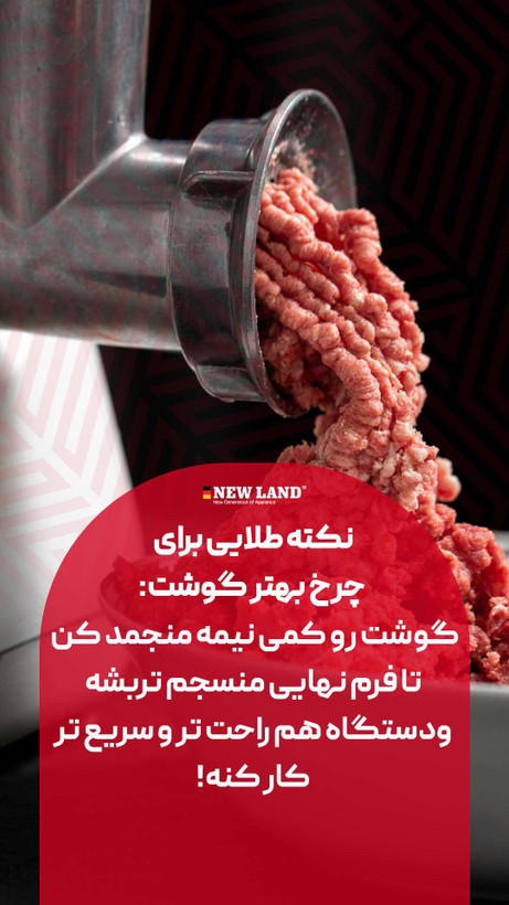 چرخ گوشت استیل نیولند مدل2953gr