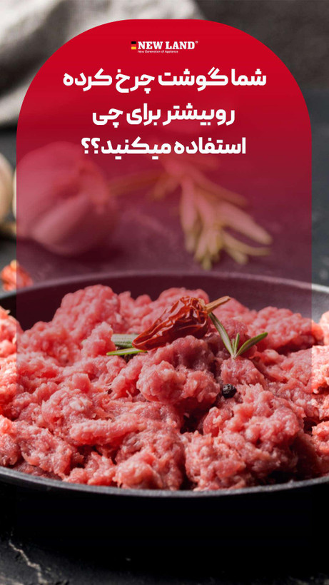 چرخ گوشت استیل نیولند مدل2953gr