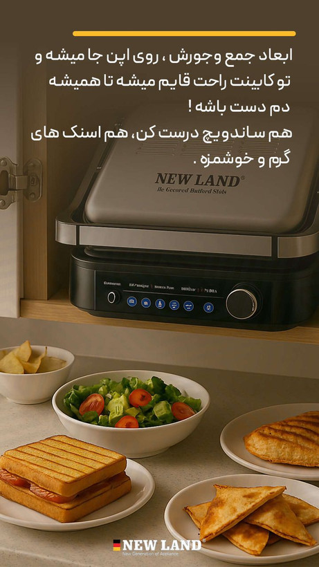 گریل حرفه ای نیولند مدل 2810BS