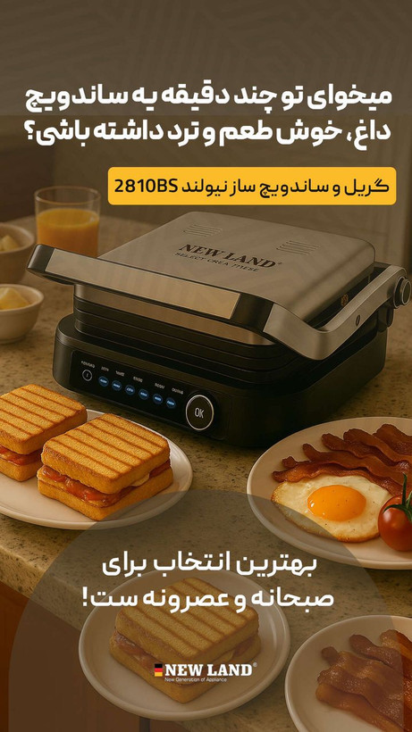 گریل حرفه ای نیولند مدل 2810BS
